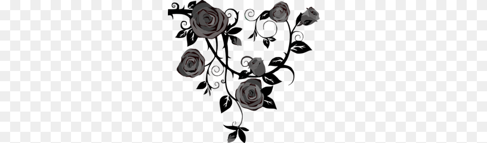 Gray Roses No Background Clip Art, Flower, Plant, Rose, Graphics Free Png