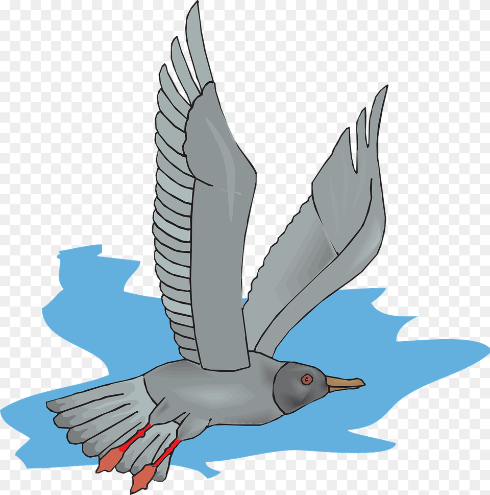 Gray Seagull Icon, Animal, Bird, Flying, Booby Png Image