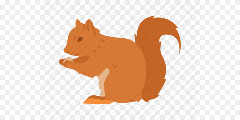 Gray Squirrel Clipart Chipmunk Illustration, Animal, Mammal, Rodent, Dinosaur Png Image