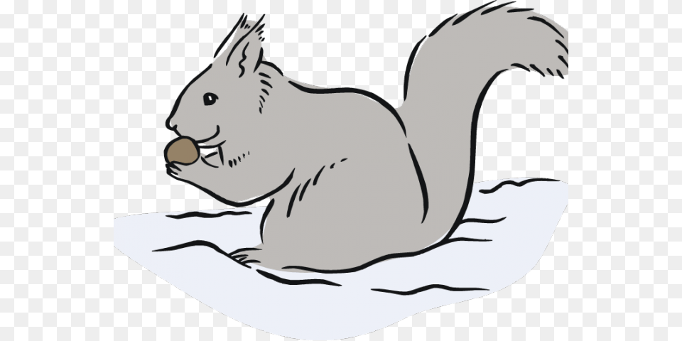 Gray Squirrel Clipart Cute Clipart On Clip Art Grey Squirrel, Animal, Bear, Mammal, Wildlife Png Image