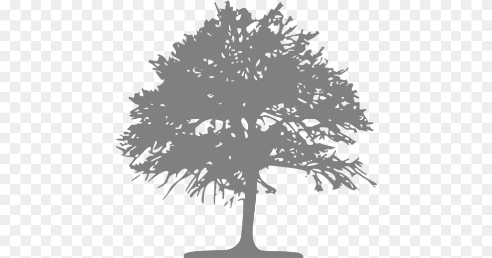 Gray Tree 46 Icon Gray Tree Icons Silhouette Grey Tree, Potted Plant, Plant, Ice, Weather Free Png