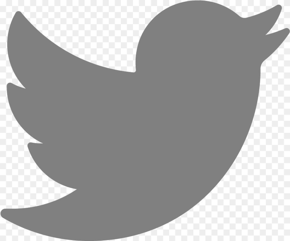 Gray Twitter Icon Twitter Social Media Icon, Animal, Fish, Sea Life, Shark Free Transparent Png