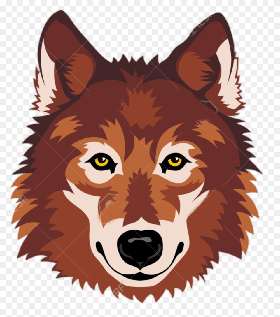 Gray Wolf Clip Art Clipart Of Wolf Face, Animal, Pet, Mammal, Husky Png Image