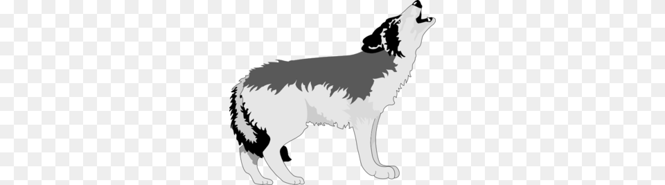 Gray Wolf Clipart Clip Art Images, Animal, Canine, Dog, Mammal Png