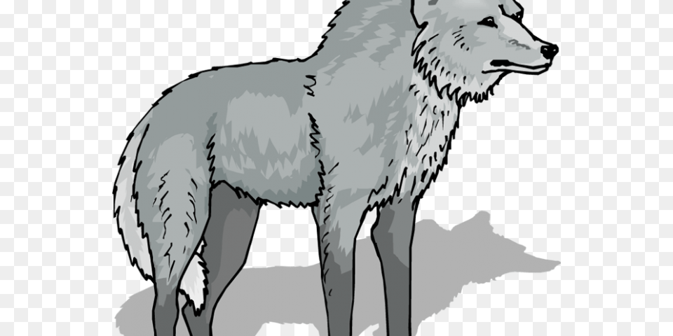 Gray Wolf Clipart Transparent Background Transparent Wolf Clip Art, Mammal, Animal, Person, Adult Free Png