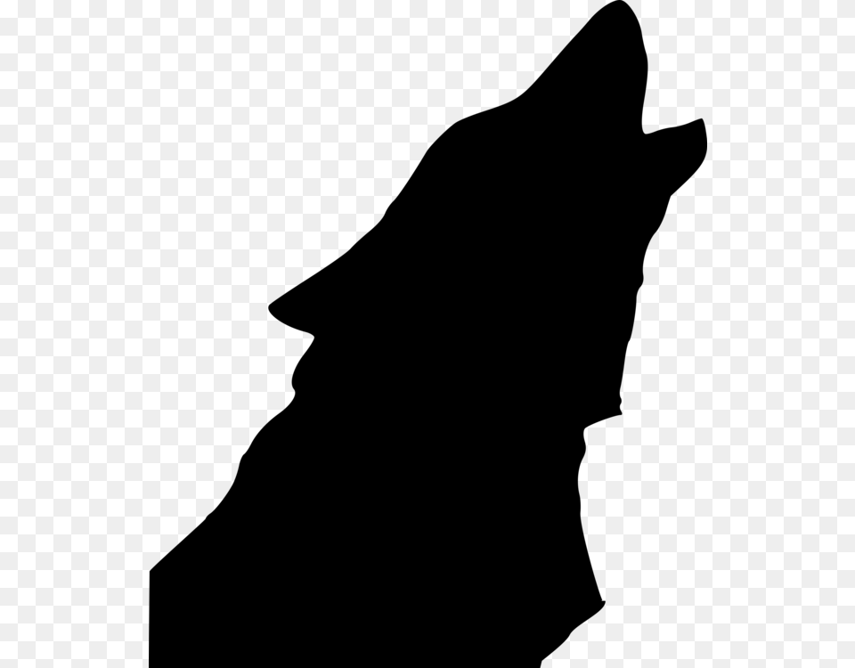 Gray Wolf Coyote Drawing Silhouette Aullido Free Png