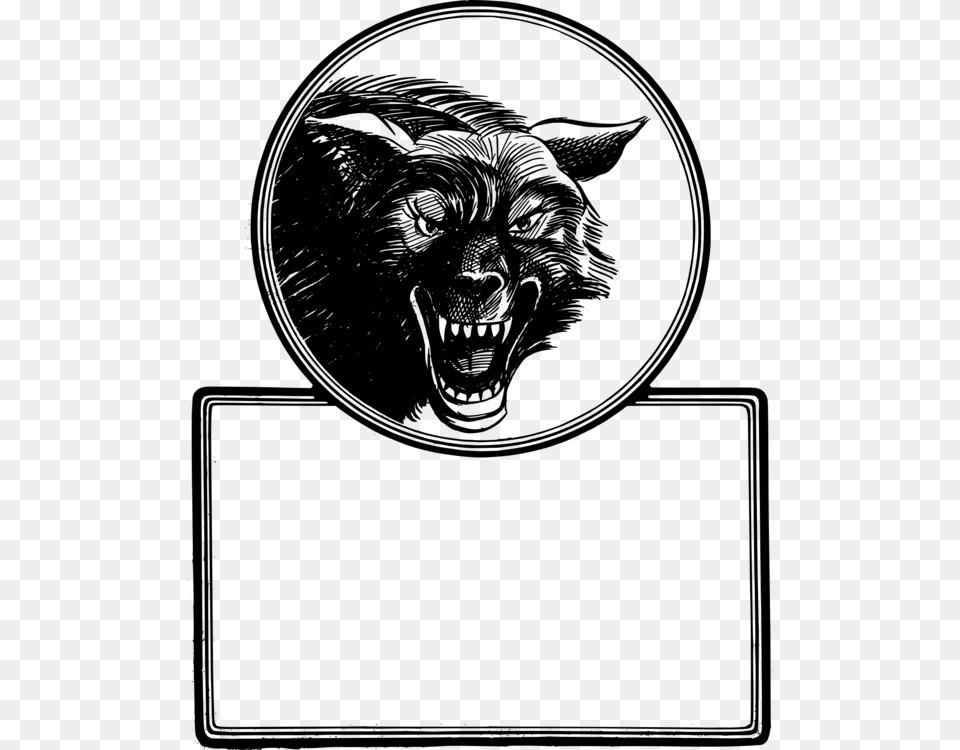 Gray Wolf Coyote Head Visual Arts Black And White Illustration Png