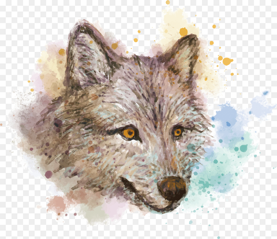 Gray Wolf Painting Red Fox Drawing Hand, Animal, Mammal, Coyote Free Png Download