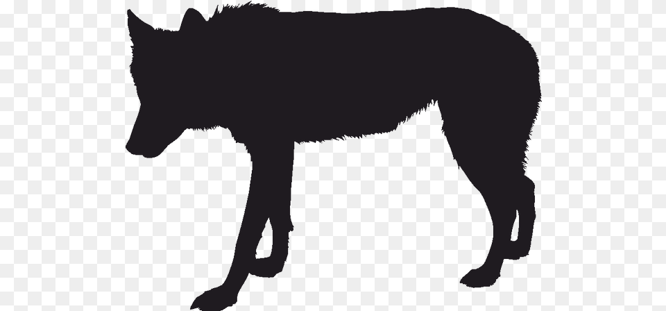 Gray Wolf Silhouette Black Wolf Drawing Black Wolf Silhouette, Animal, Mammal, Coyote, Person Free Png Download