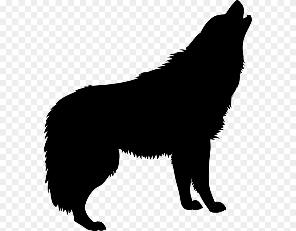 Gray Wolf Silhouette Music Drawing Free Png Download