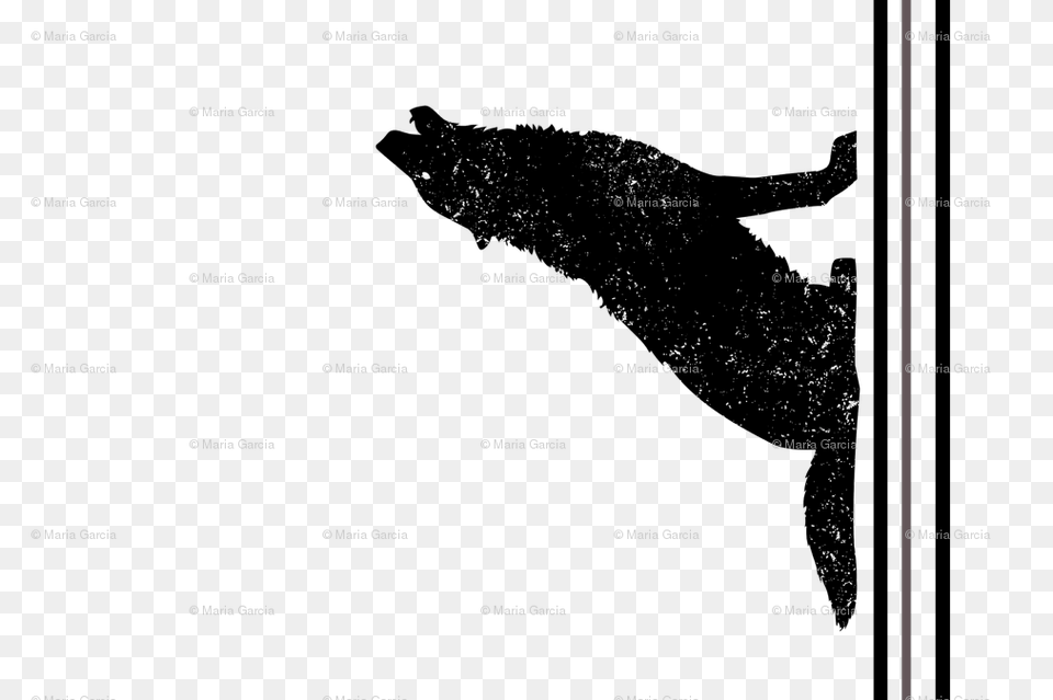 Gray Wolf Silhouette Tea Towel Wallpaper, Nature, Night, Outdoors, Astronomy Free Png