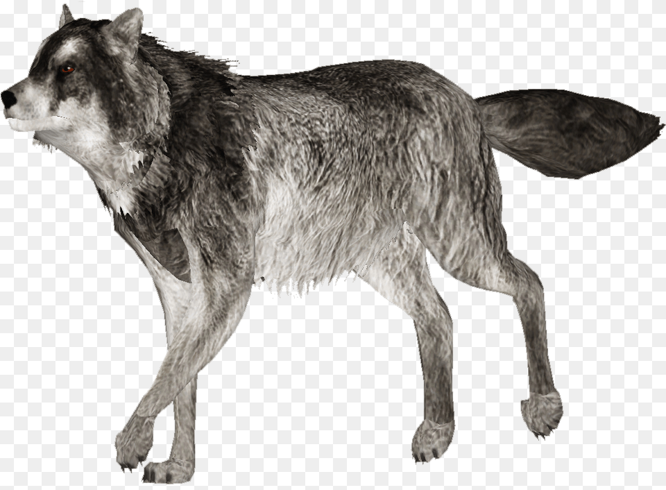 Gray Wolf Zoo Tycoon Wolf Mod, Animal, Mammal, Canine, Dog Png Image