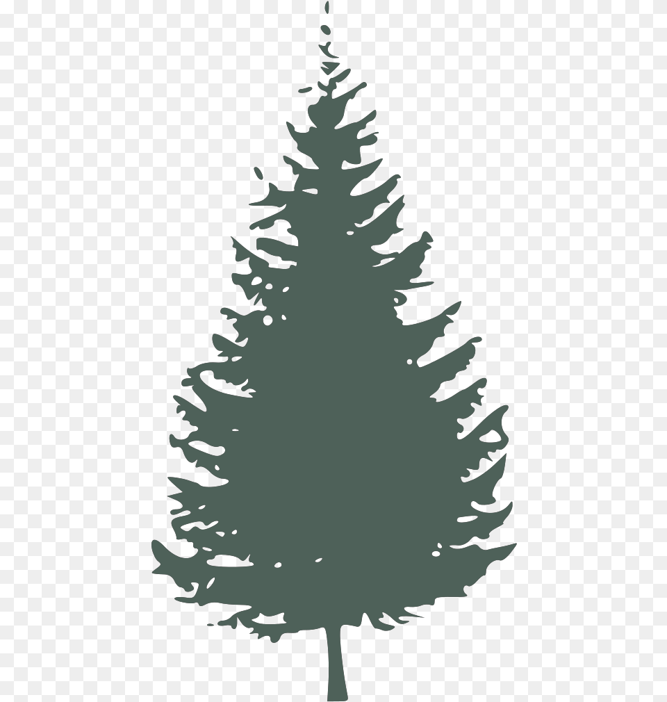 Graygreen Pine Tree Svg Vector Clip Art Pine Tree Silhouette, Fir, Plant, Person, Face Png Image