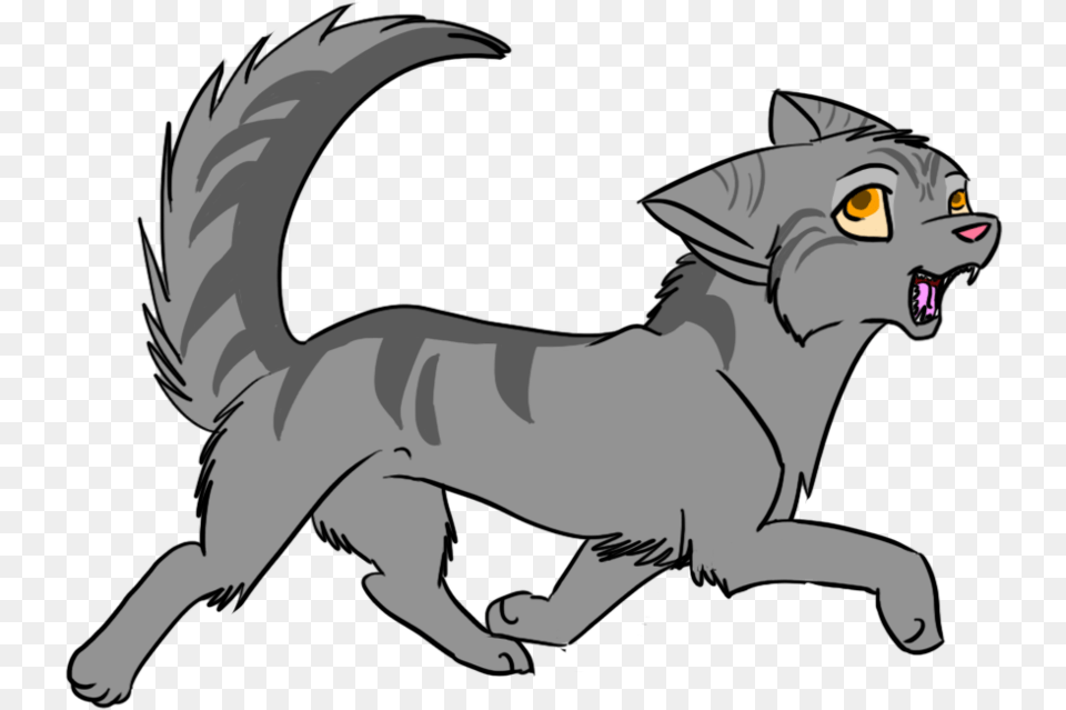 Graypaw By Darkflight On Graypaw From Warriors Cats, Person, Animal, Cat, Mammal Free Png