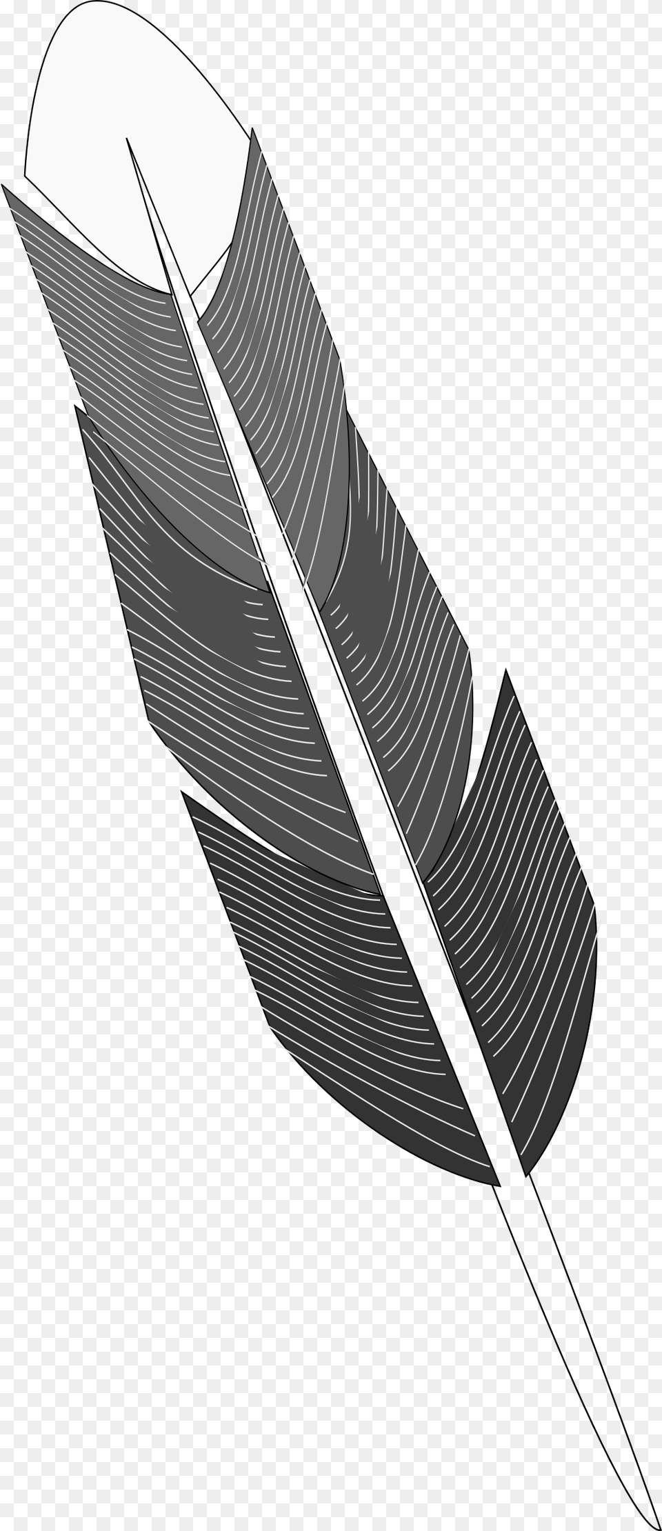 Grayscale Feather Clip Arts Grayscale Feather, Accessories, Bottle, Formal Wear, Tie Free Png Download