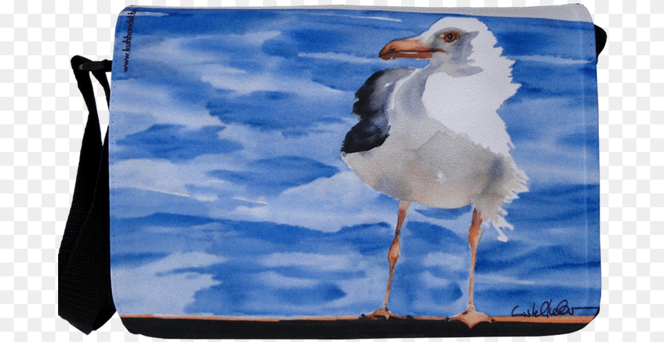 Great Black Backed Gull, Animal, Beak, Bird, Seagull Png