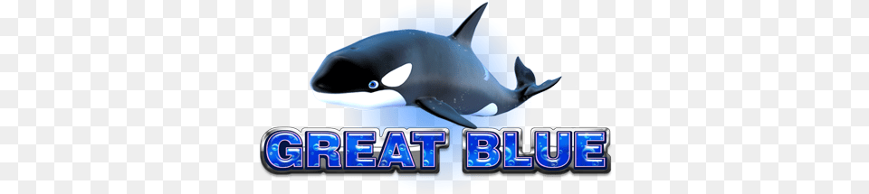 Great Blue Great Blue Slot, Animal, Mammal, Orca, Sea Life Free Png Download