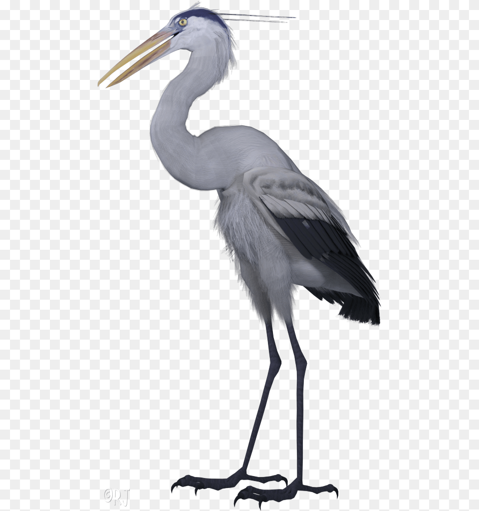 Great Blue Heron, Animal, Bird, Stork, Waterfowl Free Png
