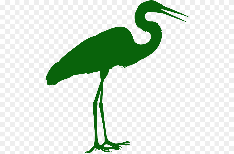 Great Blue Heron, Animal, Bird, Crane Bird, Waterfowl Free Png