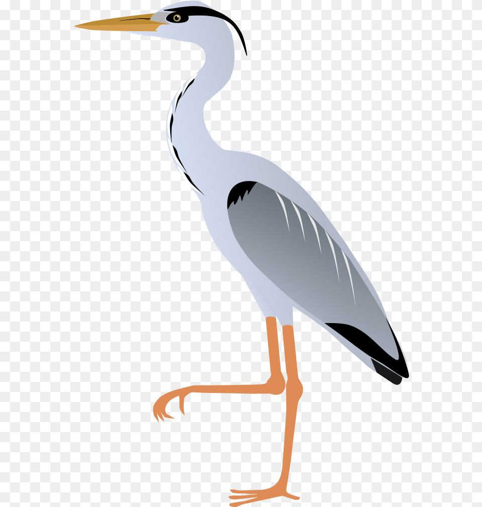 Great Blue Heron Clipart, Animal, Bird, Crane Bird, Waterfowl Free Png