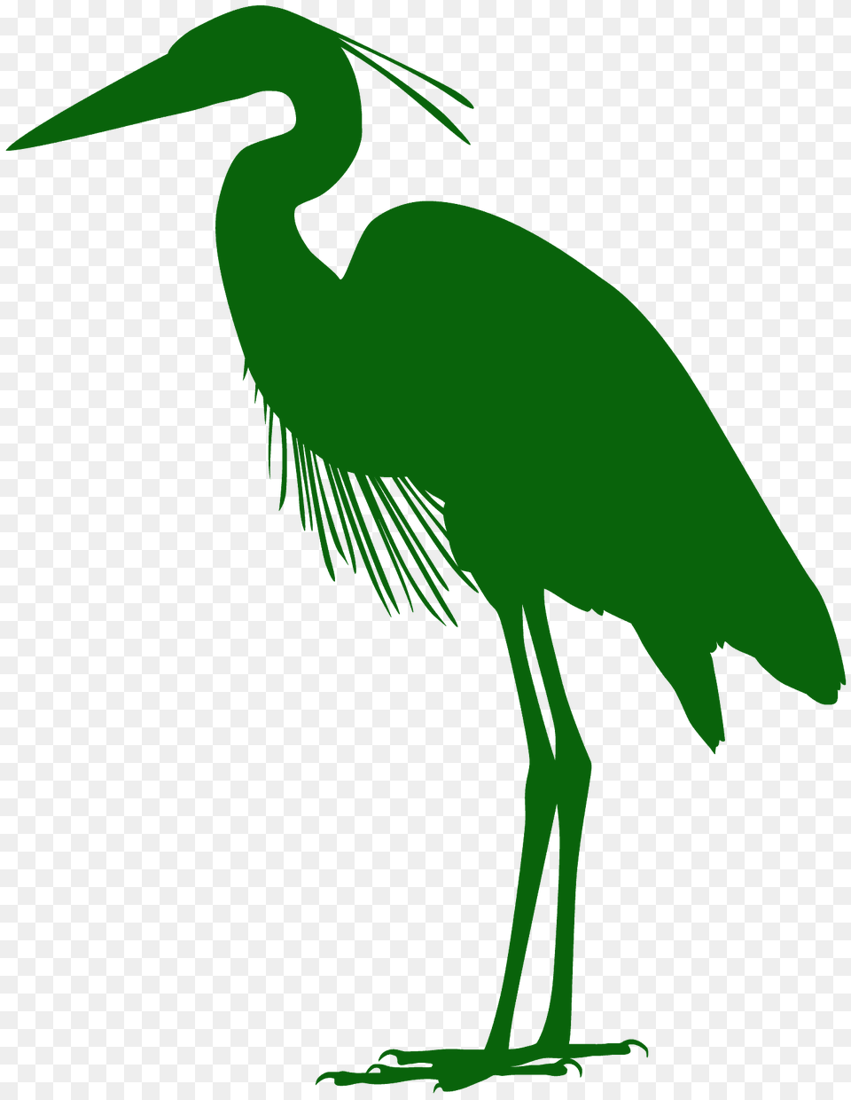 Great Blue Heron Silhouette, Animal, Bird, Crane Bird, Waterfowl Png
