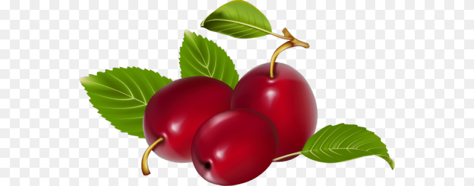 Great Clip Art Of Fruit Cherries Frukty Iagody, Food, Plant, Produce, Cherry Free Png