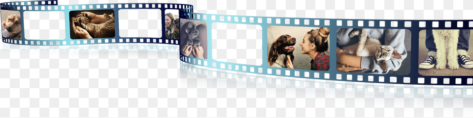 Great Dane, Art, Collage, Child, Male Png Image