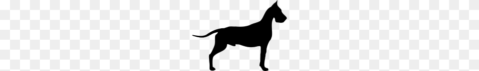 Great Dane, Gray Free Transparent Png