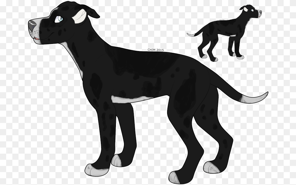 Great Dane American Quarter Horse American Paint Horse Running Horse Silhouette Svg, Animal, Canine, Dog, Mammal Png Image