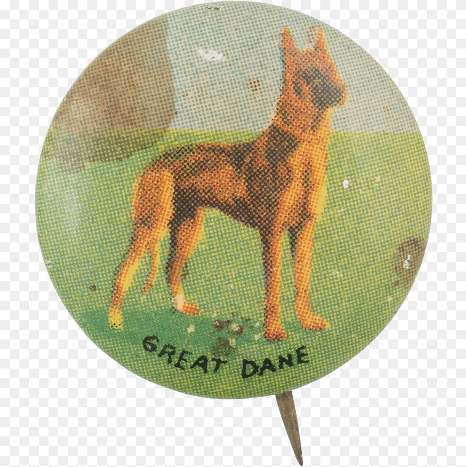 Great Dane Art Button Museum Old German Shepherd Dog, Animal, Canine, Mammal, Pet Png