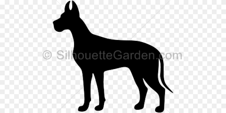 Great Dane Clipart Fawn Female, Animal, Canine, Dog, Great Dane Free Transparent Png