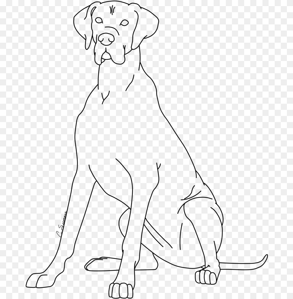 Great Dane Coloring, Gray Png