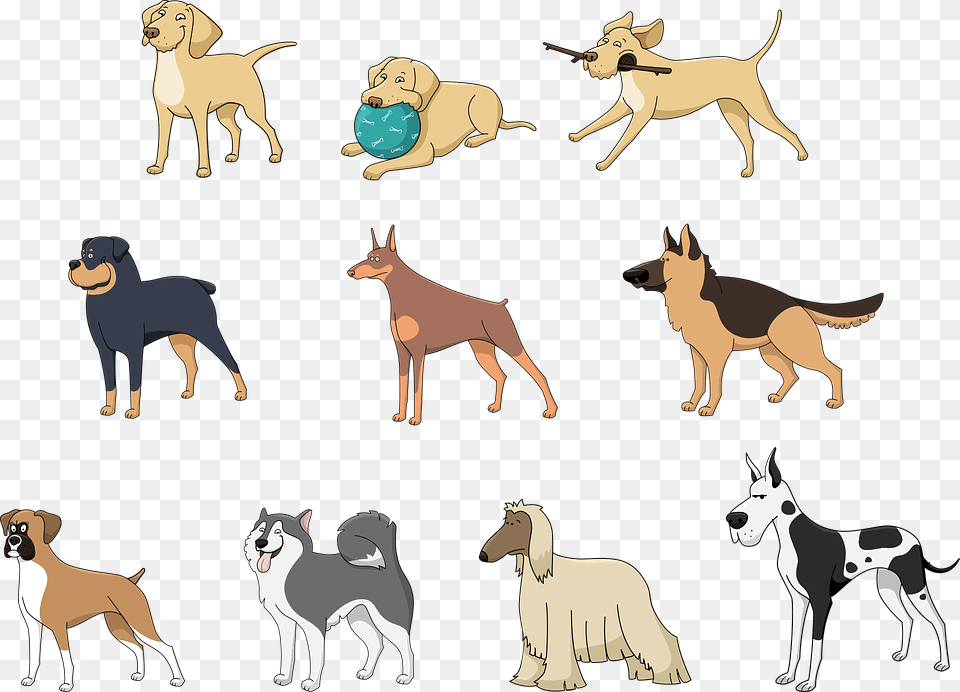 Great Dane Dog Puppy Cartoon Drawing Apple Iphone, Animal, Canine, Mammal, Pet Free Png