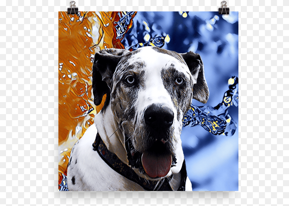 Great Dane Poster, Animal, Canine, Dog, Mammal Free Png Download