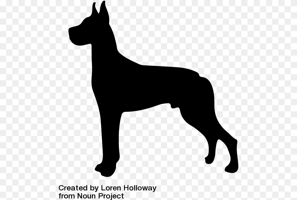 Great Dane Puppy Dog Breed Clip Art Finnish Spitz Size To People, Gray Png