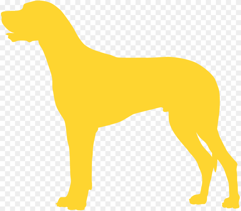 Great Dane Silhouette, Animal, Canine, Mammal, Pet Png