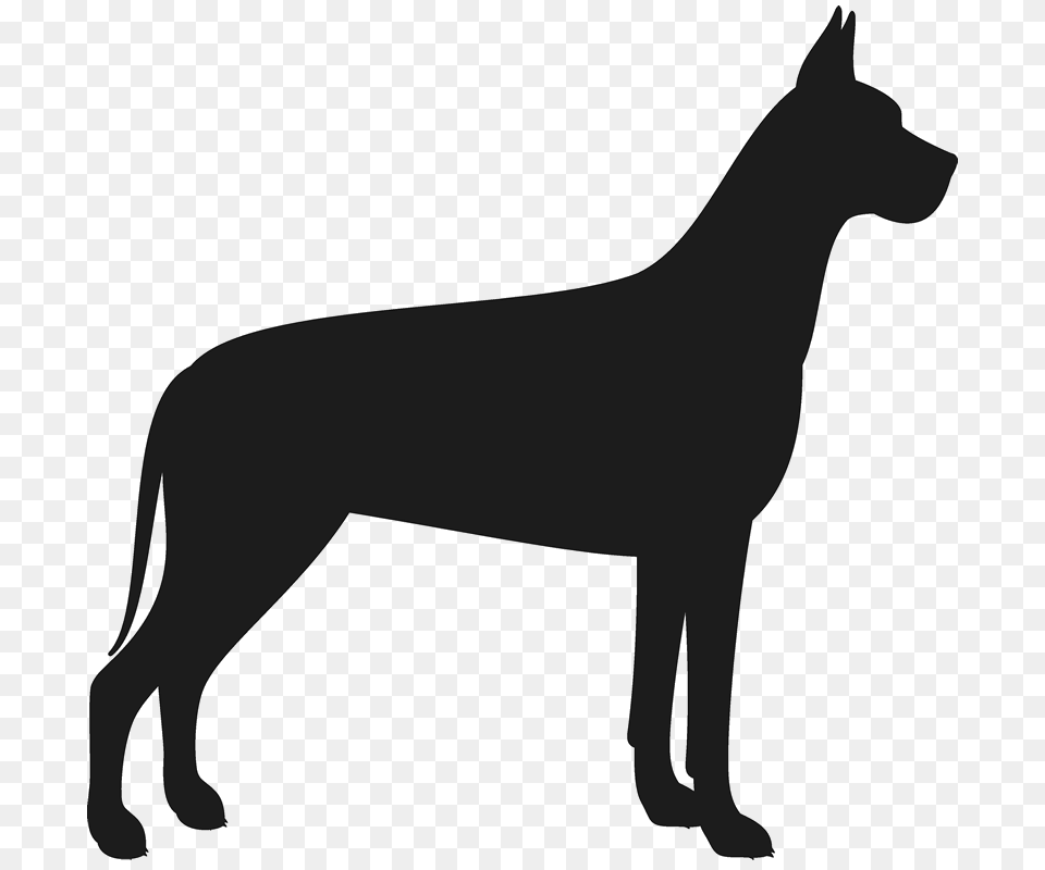 Great Dane Stamp, Silhouette, Stencil, Animal, Canine Free Png Download