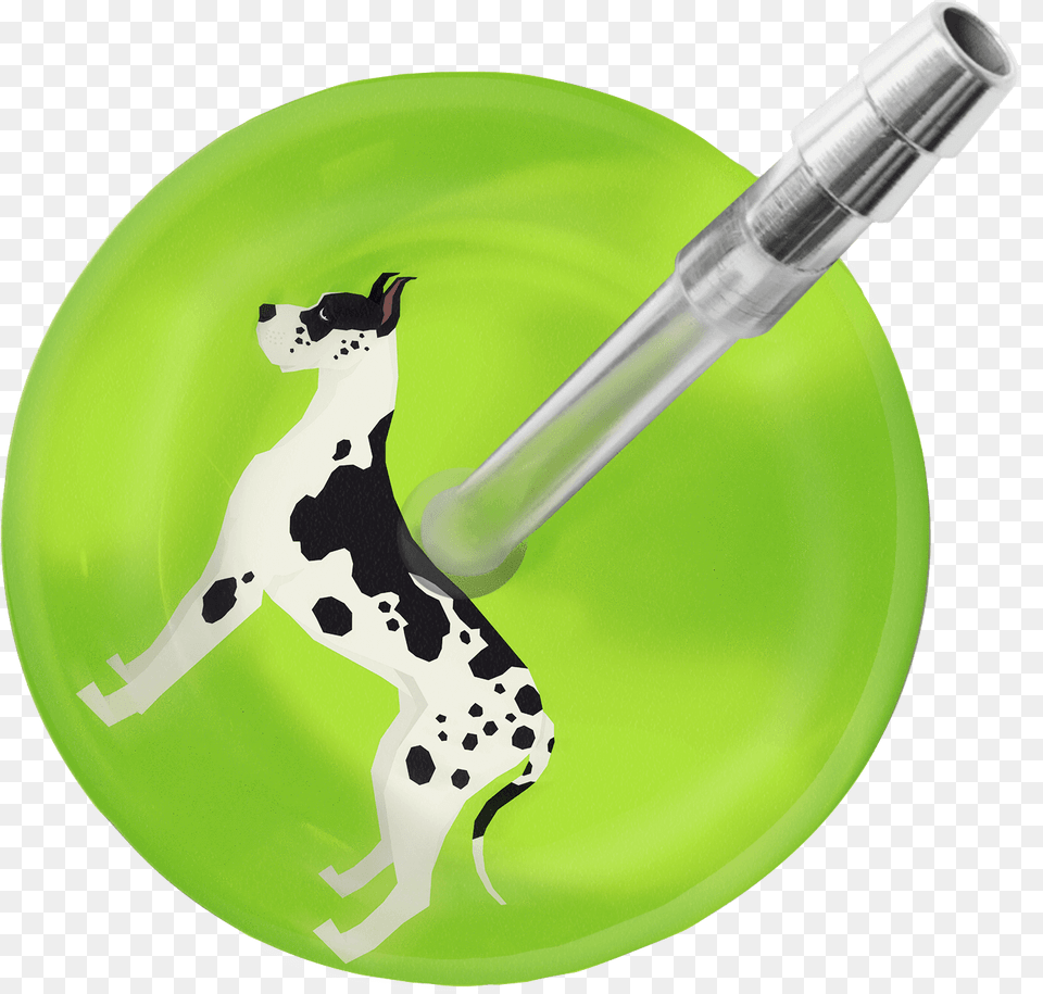 Great Dane Stethoscopeclass Dalmatian, Animal, Canine, Dog, Mammal Free Transparent Png