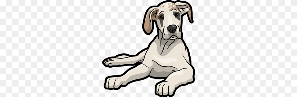 Great Danes Great Danes Are The Greatest, Animal, Canine, Dog, Great Dane Png Image