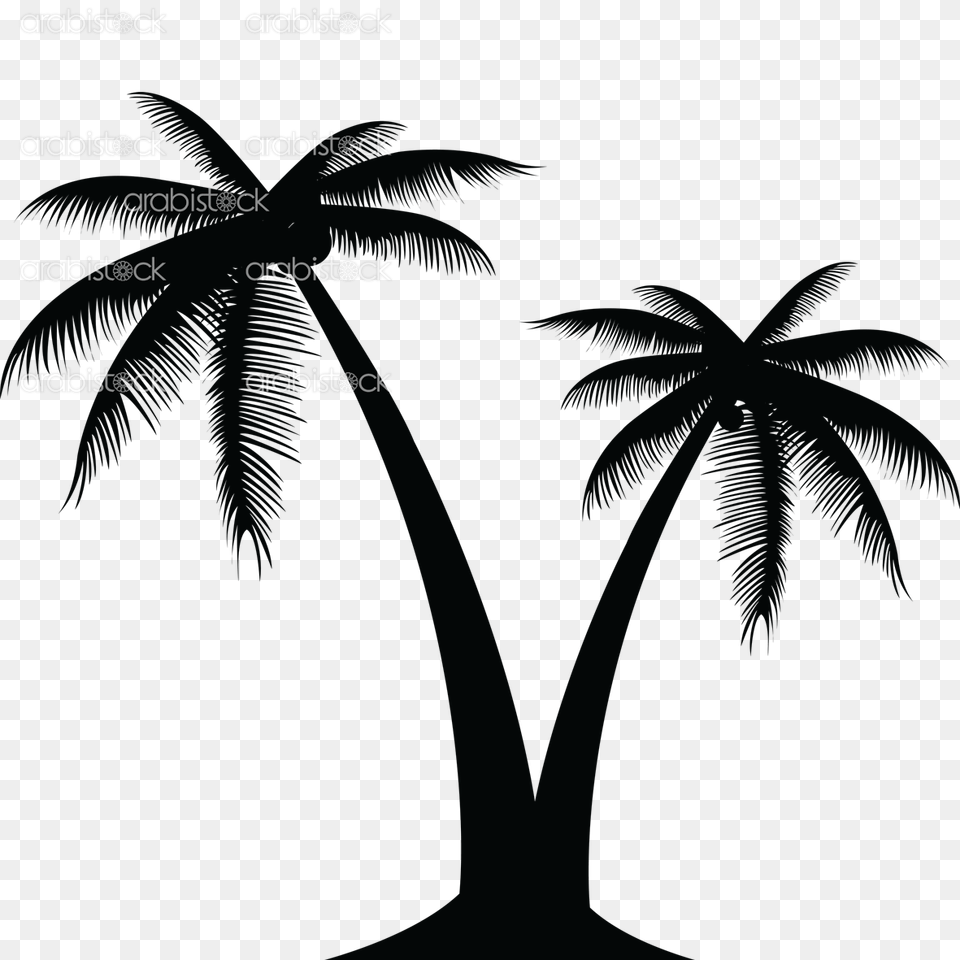 Great Drawn Hand Palm Tree Pencil, Palm Tree, Plant, Vegetation, Outdoors Free Transparent Png