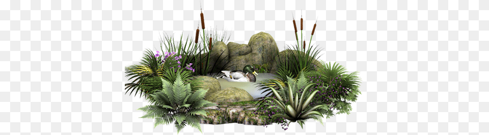 Great Graphics Chteau De Chaumont, Nature, Outdoors, Pond, Water Free Png Download