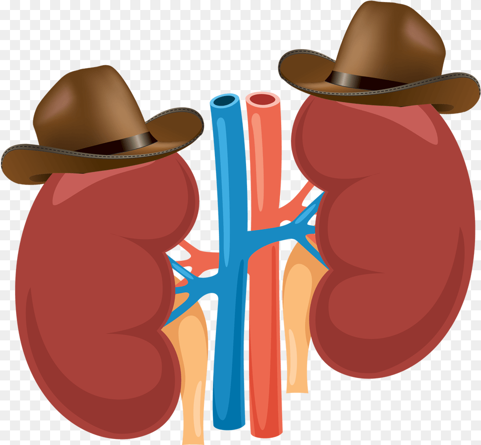 Great Herbs For Kidney Cleansing, Clothing, Hat, Cross, Symbol Free Transparent Png