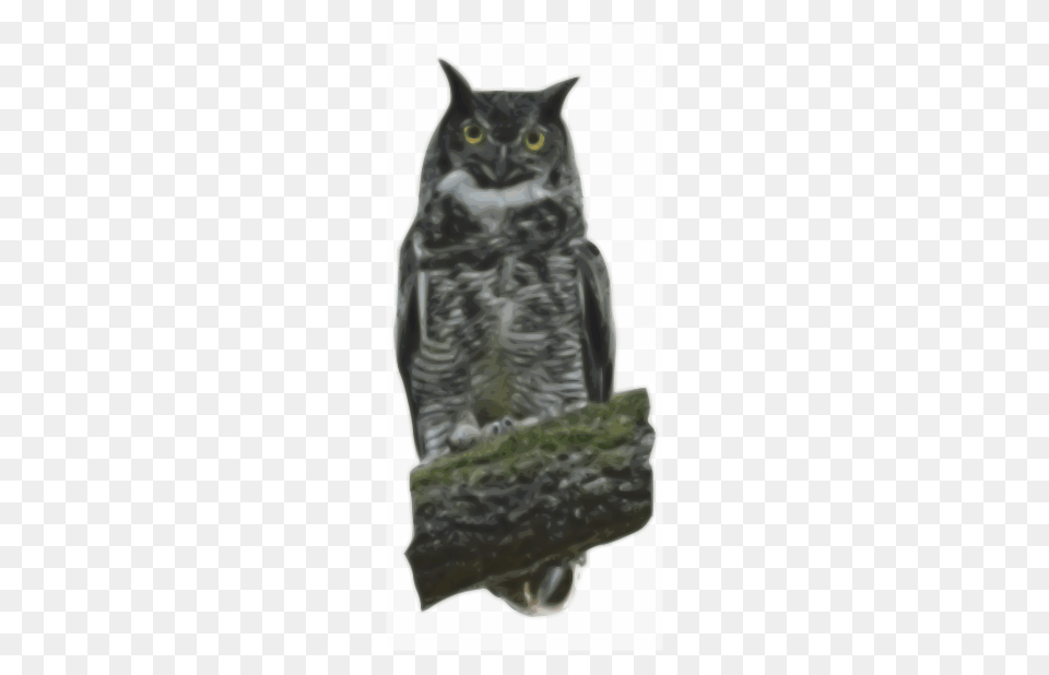 Great Horned, Animal, Bird, Owl, Cat Png Image