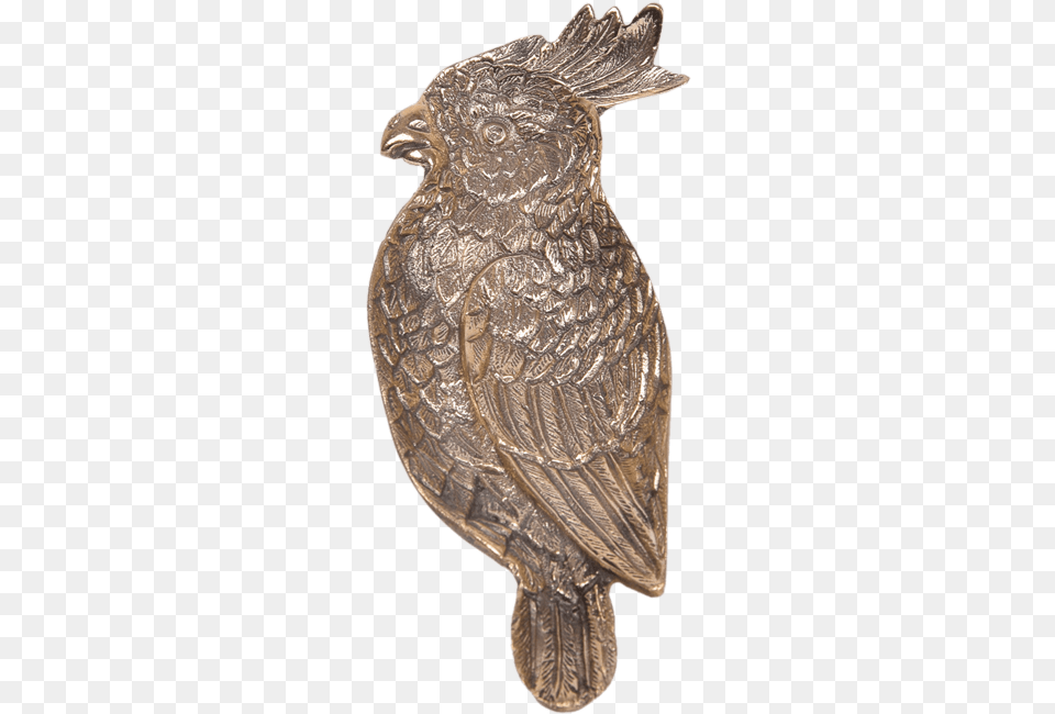 Great Horned Owl, Bronze, Animal, Bird, Beak Free Png