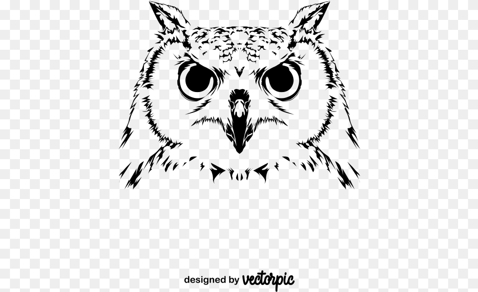 Great Horned Owl, Gray Free Png Download