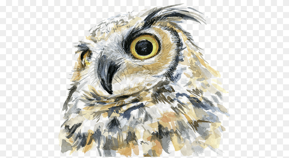 Great Horned Owl Art, Animal, Beak, Bird, Painting Free Transparent Png