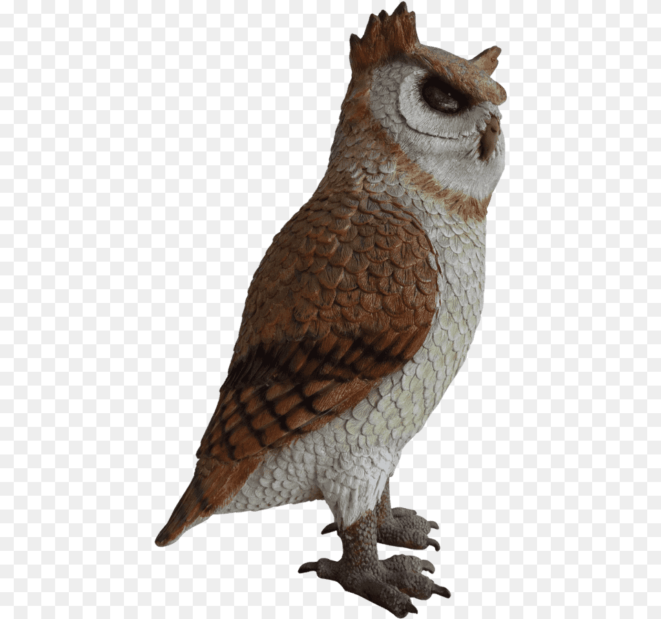 Great Horned Owl Great Horned Owl, Animal, Bird Png Image