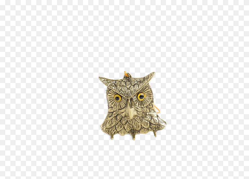 Great Horned Owl Great Horned Owl, Animal, Bird Free Png