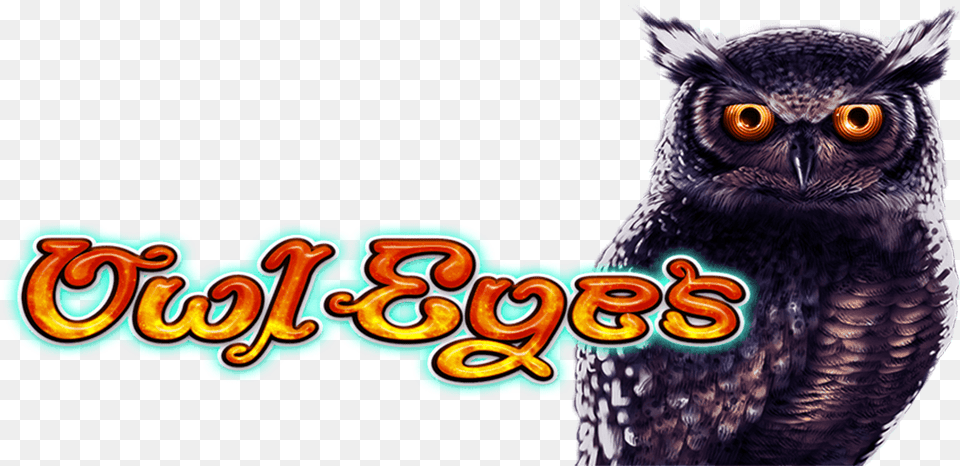 Great Horned Owl Hd Screech Owl, Animal, Bird, Beak Free Png