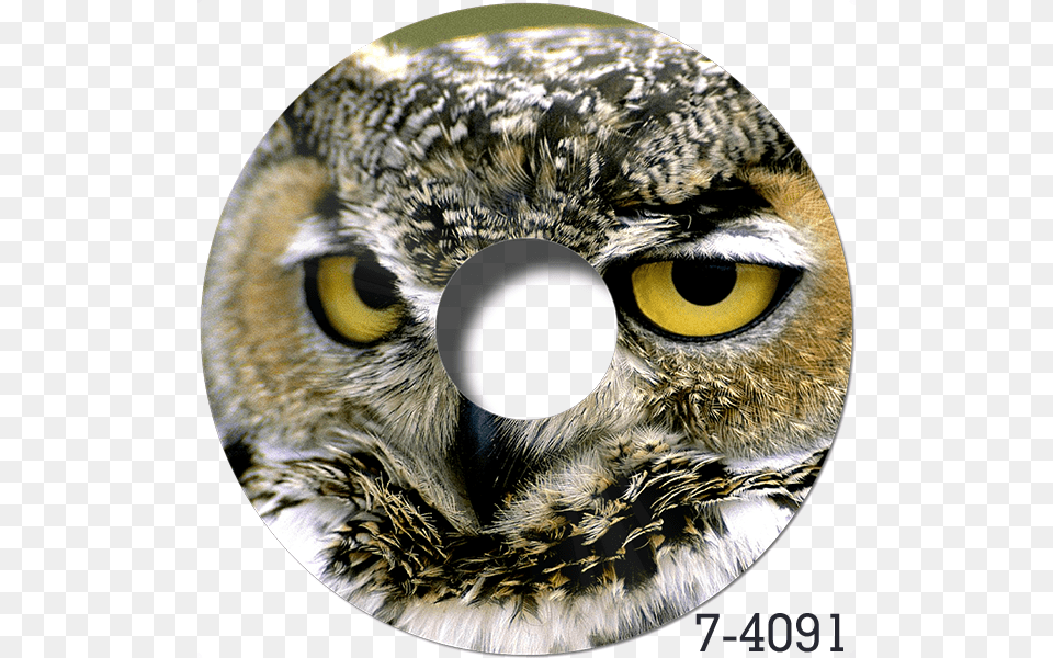 Great Horned Owl Memes, Animal, Bird Free Png